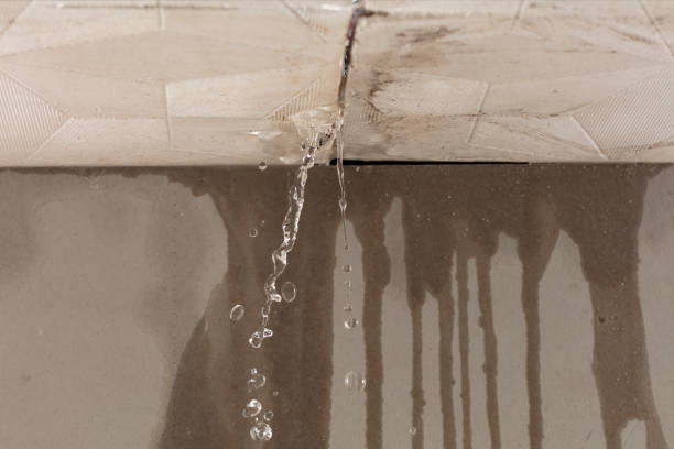 Professional Flood Damage Cleanup technician working in Highland Lakes, AL